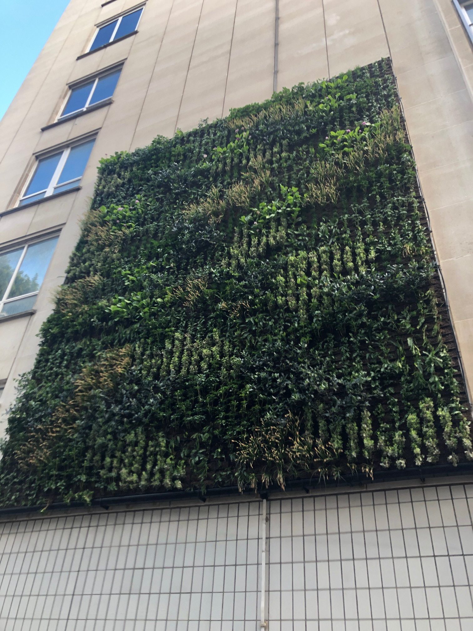 London james streek green wall rotated
