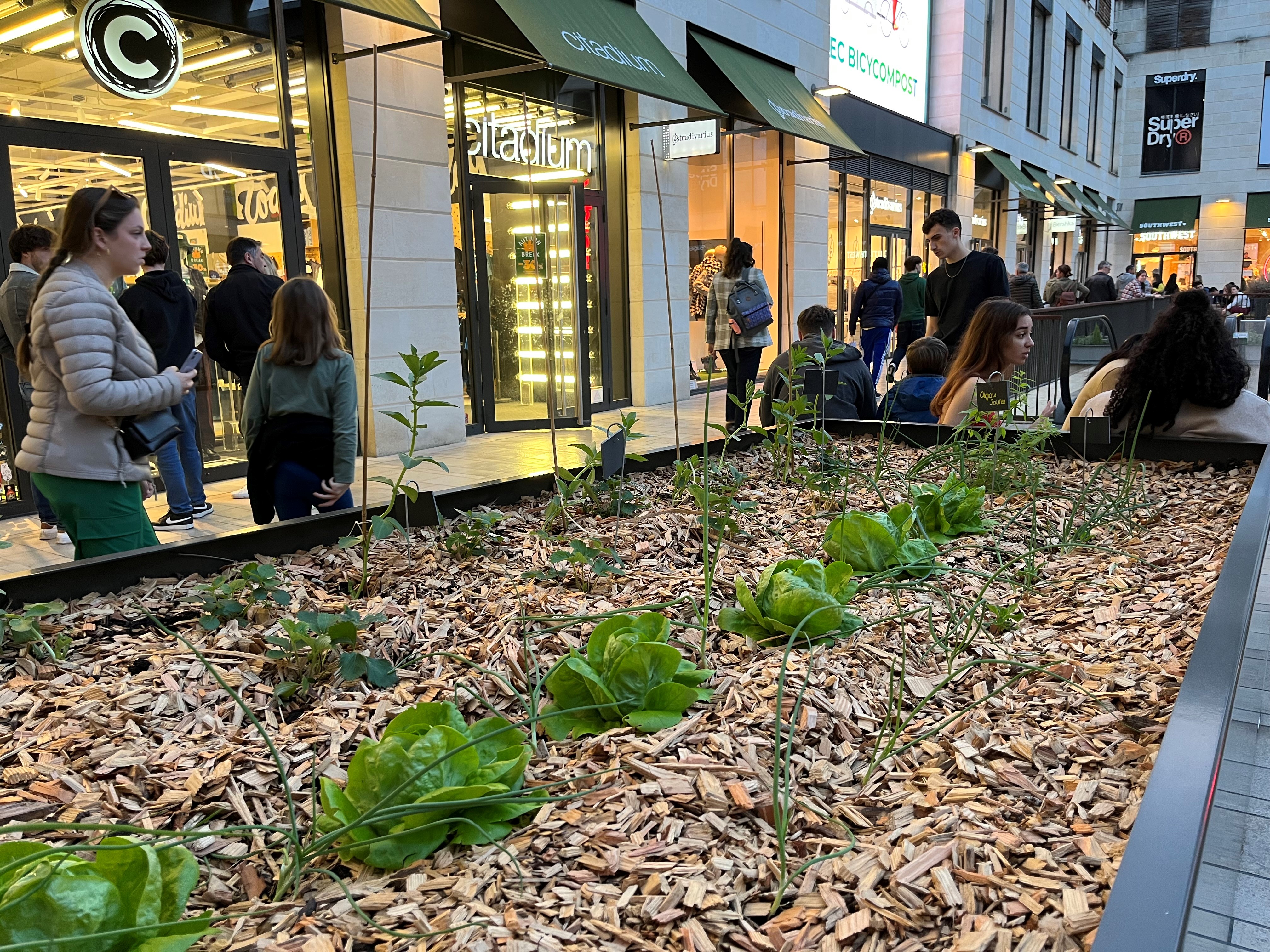 Community garden promenade