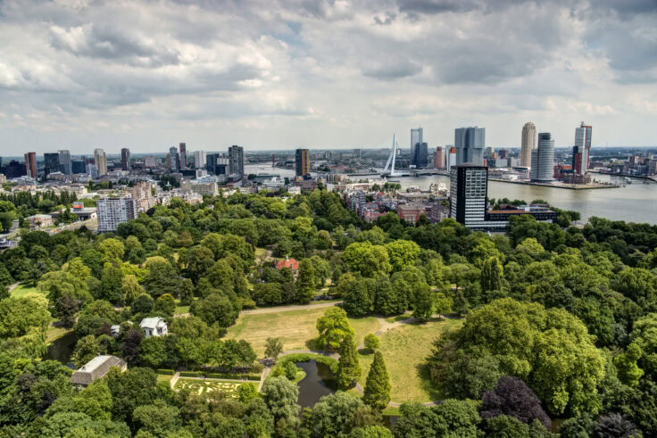 Skyline rotterdam